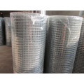 Galvanized Welded Wire Mesh (BWG20)